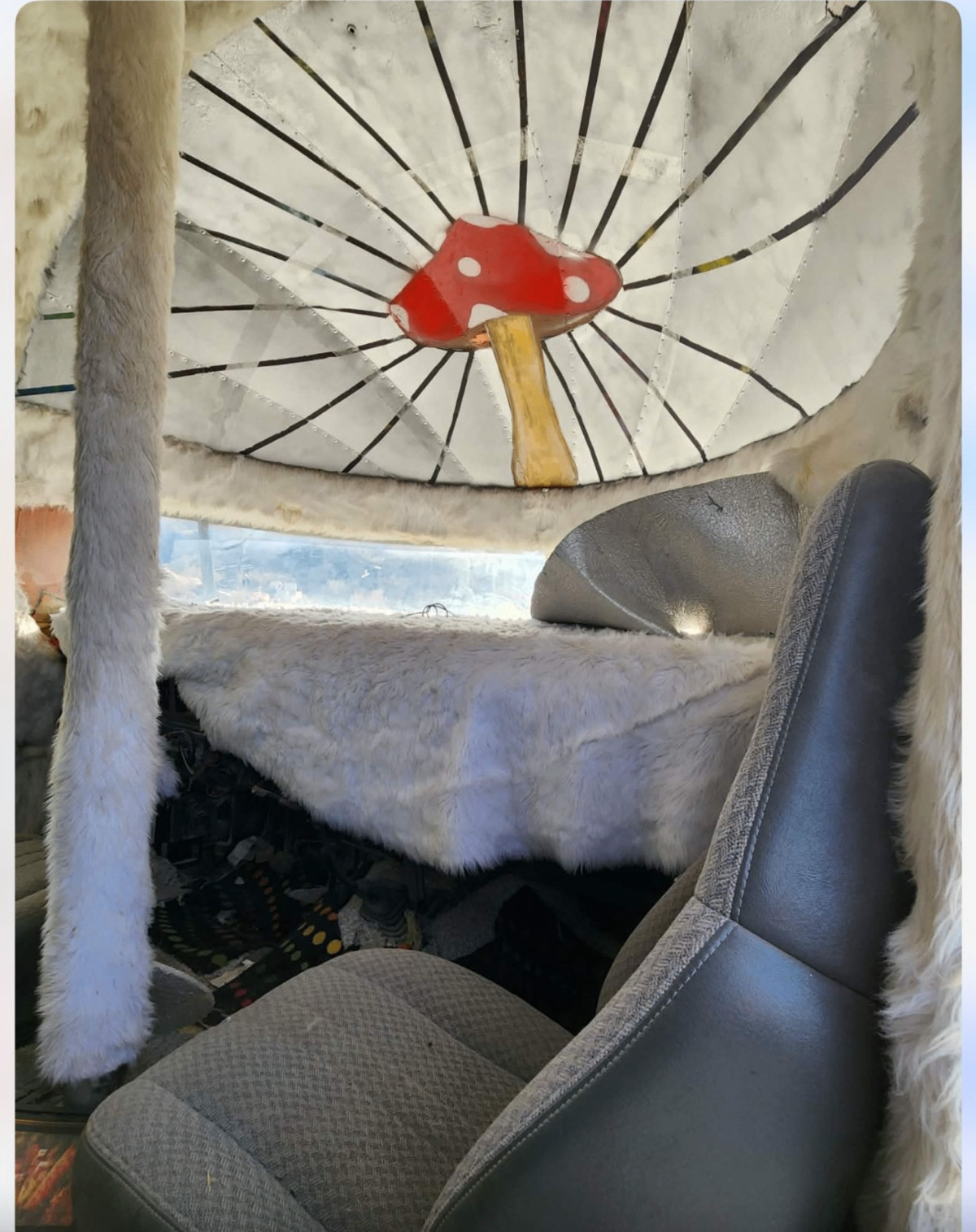 Psychedelic Falcon 21 interior — mushroom canopy and front cabin